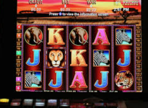 壹号平台app电脑免费版